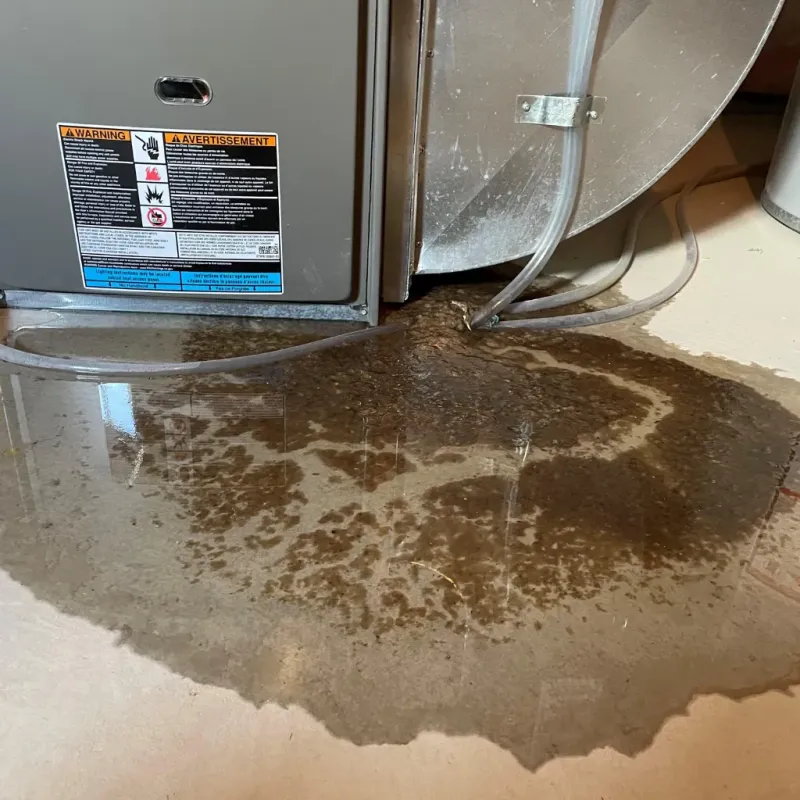 Appliance Leak Cleanup in Bristol, WI